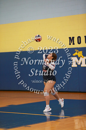MSM_vb-g_21