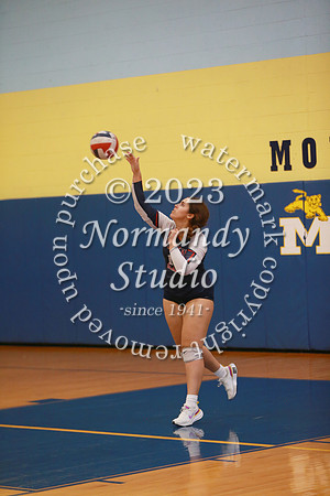 MSM_vb-g_22