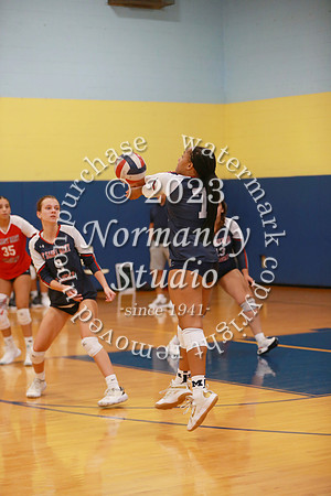 MSM_vb-g_24