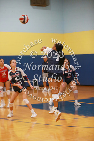 MSM_vb-g_25
