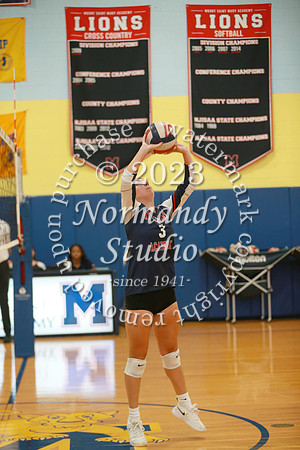 MSM_vb-g_26