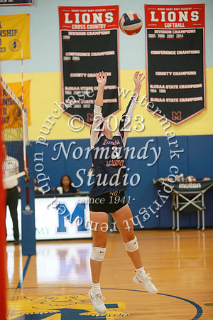MSM_vb-g_27
