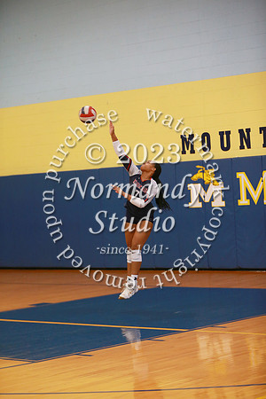 MSM_vb-g_28