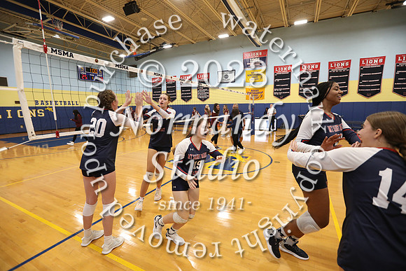 MSM_vb-g_14