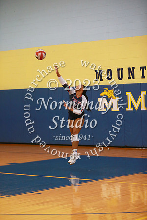MSM_vb-g_30