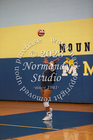 MSM_vb-g_31