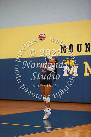 MSM_vb-g_32