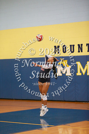 MSM_vb-g_36