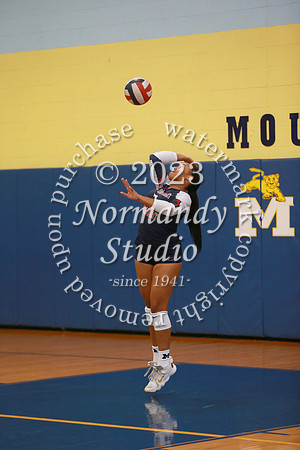 MSM_vb-g_39