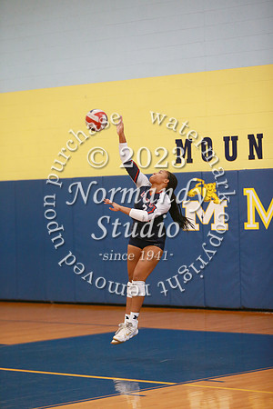 MSM_vb-g_37