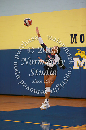 MSM_vb-g_40