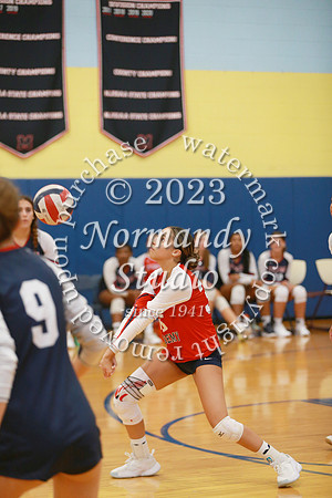 MSM_vb-g_43