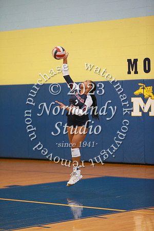 MSM_vb-g_42