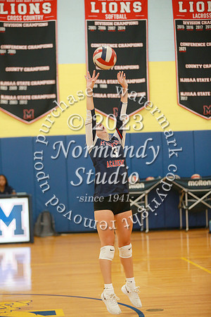 MSM_vb-g_44