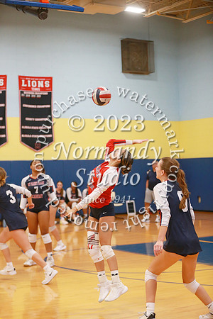 MSM_vb-g_49