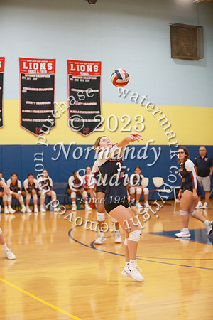 MSM_vb-g_48