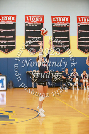 MSM_vb-g_53