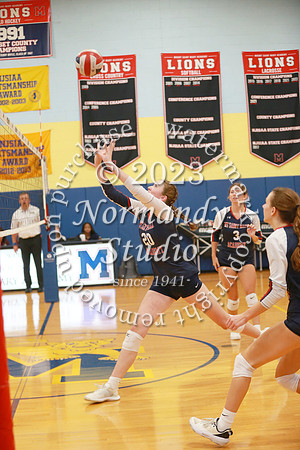 MSM_vb-g_55