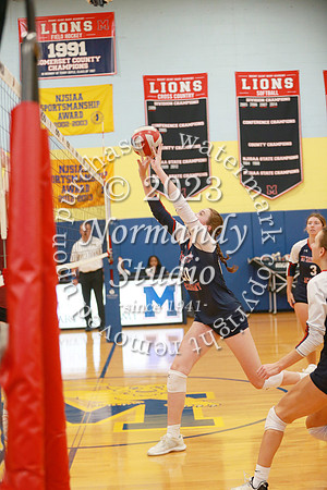 MSM_vb-g_56