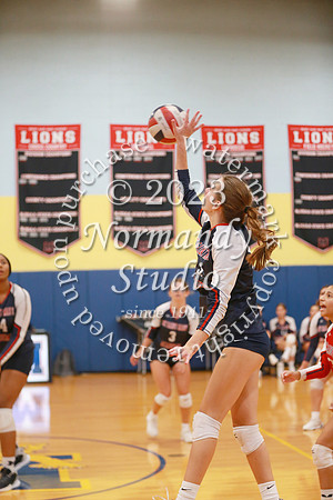 MSM_vb-g_63