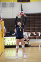 DVH_vb-g_10