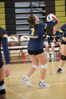 DVH_vb-g_25