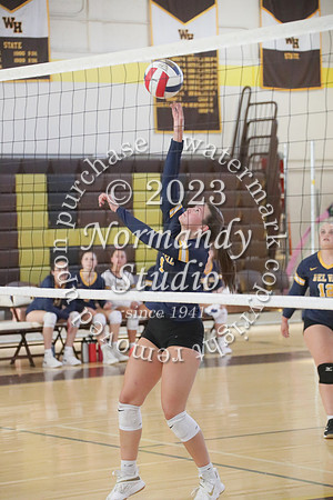 DVH_vb-g_39
