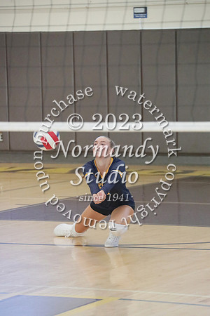 DVH_vb-g_32
