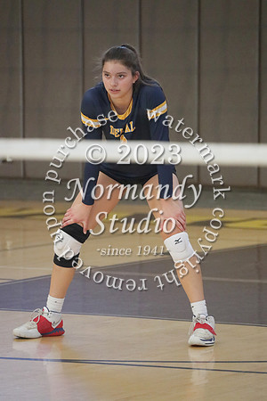 DVH_vb-g_43