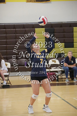 DVH_vb-g_77