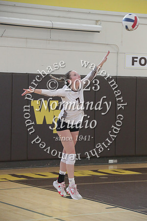 WTG_vb-g_03