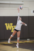 WTG_vb-g_11