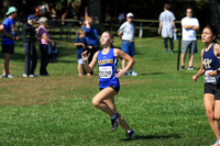 CHS_cc-g_20
