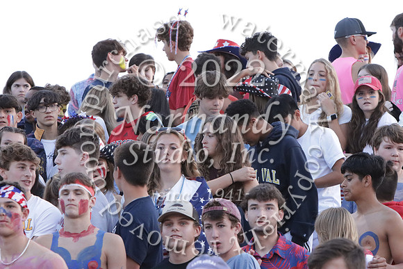 DVH_fans_18