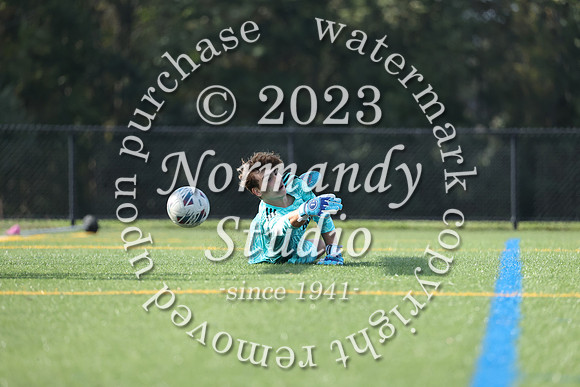 MNP_so-b_21