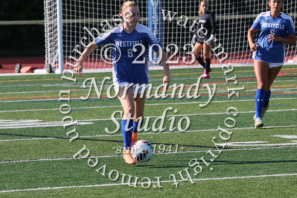 WHS_so-g_013