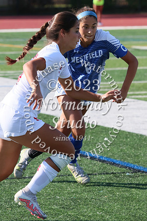 WHS_so-g_035