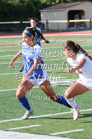 WHS_so-g_036