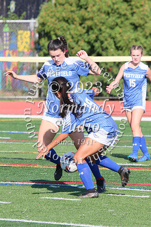 WHS_so-g_049
