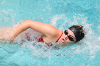 SWIMMING GIRLS