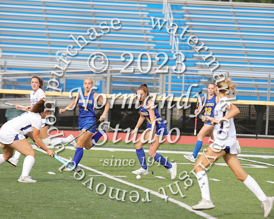 CHS_fh_10
