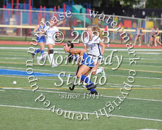 CHS_fh_11