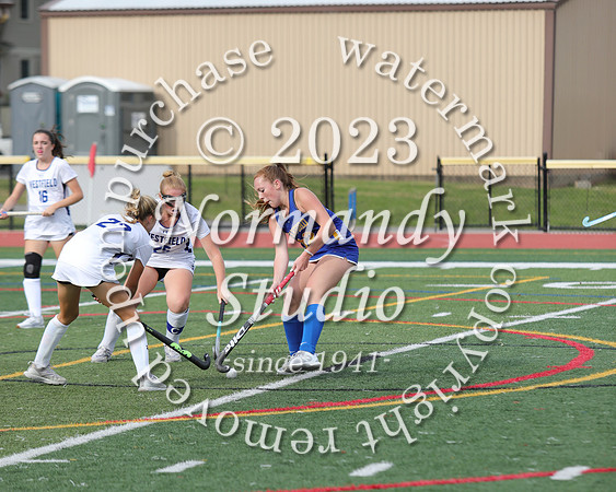 CHS_fh_17