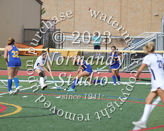 CHS_fh_14