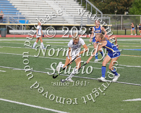 CHS_fh_20