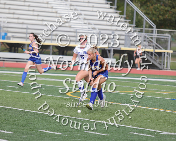 CHS_fh_30