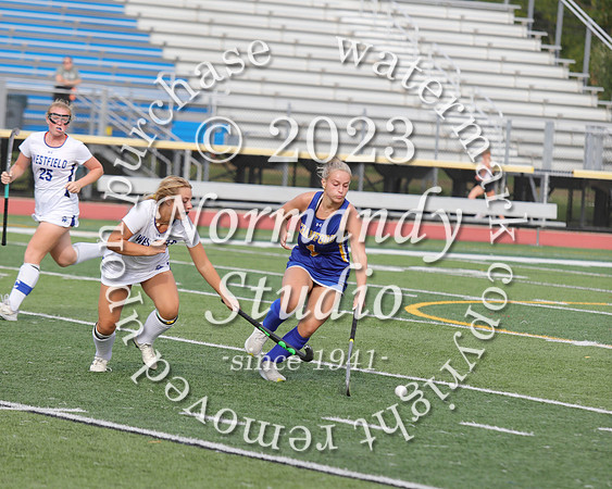 CHS_fh_32