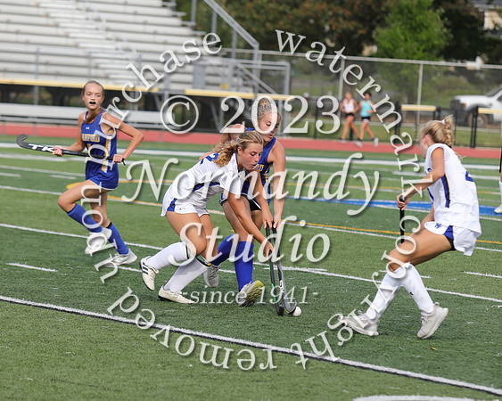 CHS_fh_34