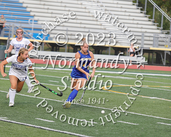 CHS_fh_31