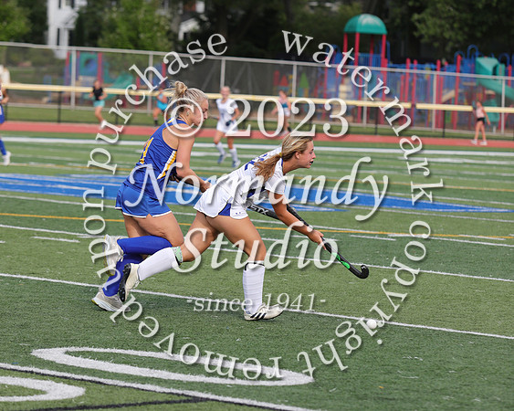 CHS_fh_36